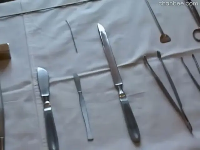 男性大体老师病理解刨-0006